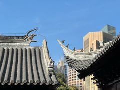 -上海白云观