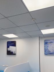 -蕾特恩专业祛痘