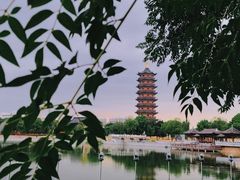-葛仙湖公园