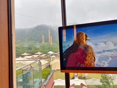 -重庆南山海昌汤都