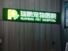 -瑞鹏宠物医院·微创内窥镜·骨外科·牙科(翠竹分院)