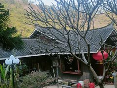 -南海湾森林生态园