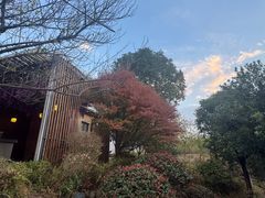 -凤翔首邑温泉度假村