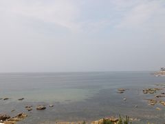 -海岛日记(养马岛店)