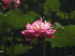 -沐仙湖湿地公园