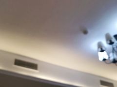 -柴犬小屋·柴餐厅·狗咖食堂(金鼎广场店)