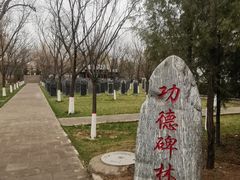 -大槐树寻根祭祖园