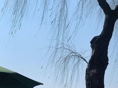 -柳莺湖上·湖景餐厅·江南菜(西湖店)