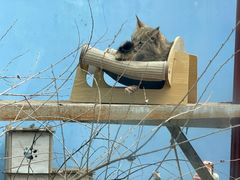 -青藏高原野生动物园