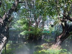 -Chom Cafe and Restaurant