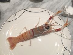 -虾佬圣汤