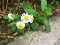 -美家乐农庄·露营·团建(大治路店)