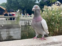 -重元寺