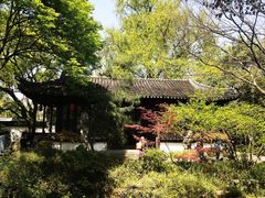 -上海醉白池公园