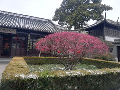 -梅园