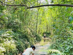 -桤木河湿地公园