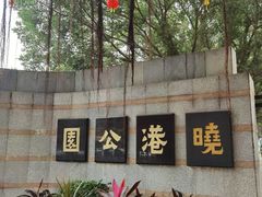 -晓港公园