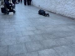 -布达拉宫