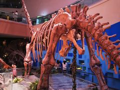 -陕西自然博物馆