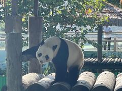 -西霞口神雕山野生动物世界