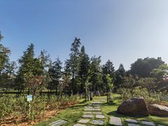 -映月湖公园