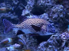 -成都浩海立方海洋公园