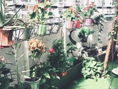-简·无界健身工作室·运动康复·体态(石厦店)