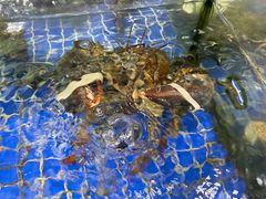 -厨房好味(国贸店)