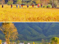 -塔川景区