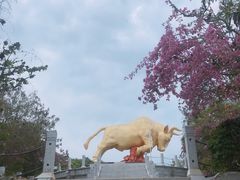 -三亚西岛海洋文化旅游区