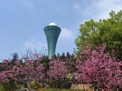 -狐尾山公园