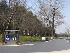 -嘉定紫藤园