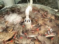-藜爱·山海情海鲜自助(万达广场店)