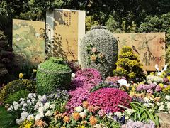 -杭州植物园