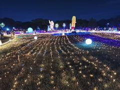 -海上田园