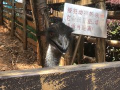 -昆明动物园