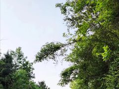 -南京市无想山景区