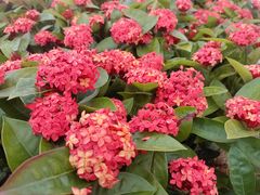 -白石龙音乐公园