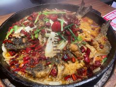 -老板恋上鱼(恒隆广场店)