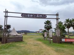 -空港花田景区