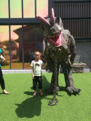 -恐龙探索乐园(磁器口店)