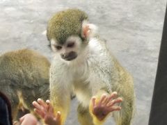 -西安秦岭野生动物园