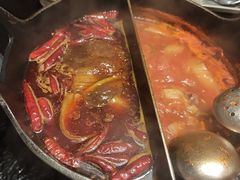 -大龙燚·旷野鲜火锅(广州首店)