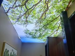 -解家河南菜(金水路店)