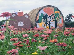 -嘉北郊野公园