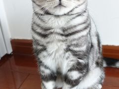 -Catmate·猫肥家润(金润铂宫店)