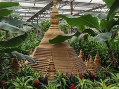 -南宫五洲植物乐园