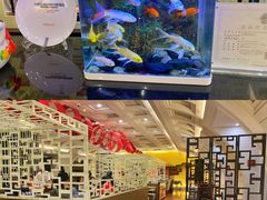 -北京王府井希尔顿酒店·秦唐中餐厅Chynna