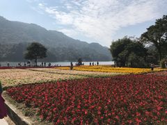 -广州市石门国家森林公园