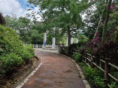 -东莞市大岭山森林公园